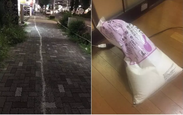 Một trường hợp khác còn trớ trêu hơn khi cô vợ trót nhờ anh chồng đi mua gạo nấu cơm. Chẳng hiểu thế nào mà anh đến chỗ bà bán gạo xách nhầm 1 bao gạo bị thủng đáy làm vương vãi gạo khắp dọc đường.