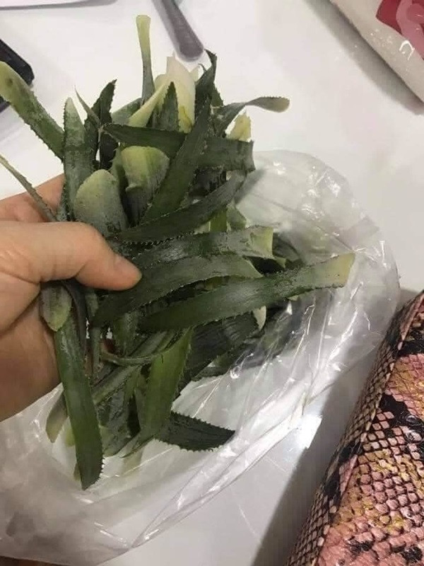 Trước đó, một cô vợ trẻ rơi vào tình cảnh oái oăm khi nhờ chồng đi mua giúp lá dứa về để nấu món xôi thơm ngon. Tuy nhiên, anh chồng lại mang về nhà lá dứa của cây dứa. Thậm chí, người đàn ông này còn hí hửng khoe "chiến tích" với vợ rằng người ta không lấy tiền khiến bà nội trợ chỉ biết "câm nín".