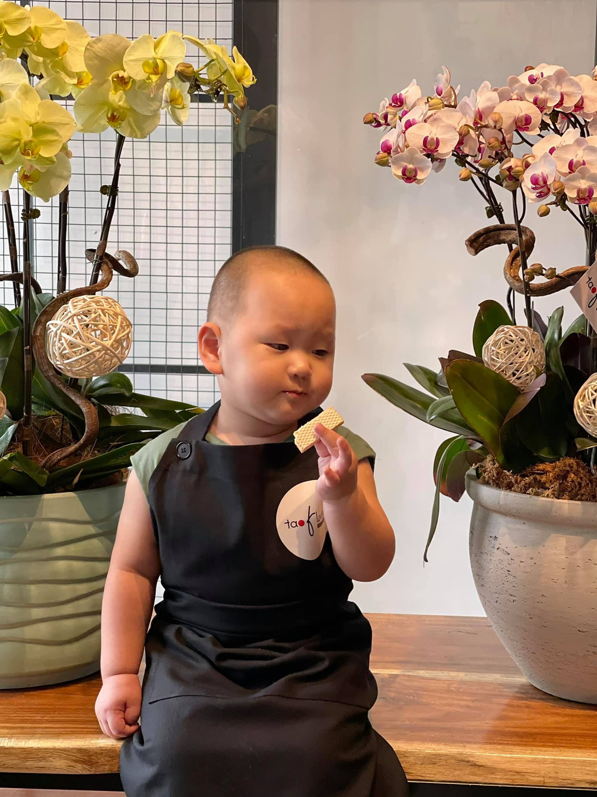 Bé út Hayden nhà Trà My Idol mới gần 2 tuổi nhưng đã trở thành nhóc tỳ có lượng fan đông đảo nhất nhì Vbiz.