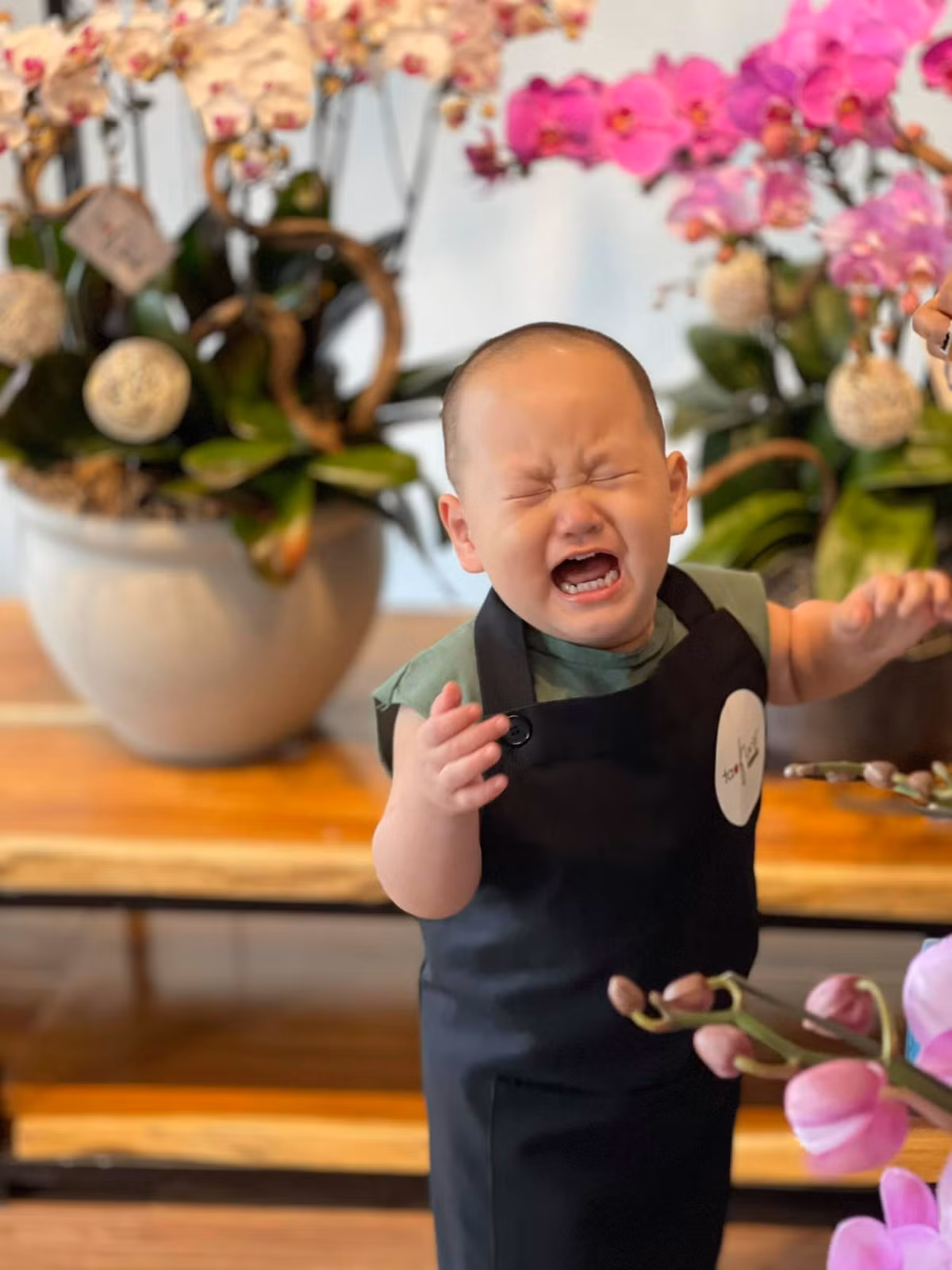 Hayden khiến dân mạng "xỉu up xỉu down" với loạt ảnh hóa đầu bếp nhí.