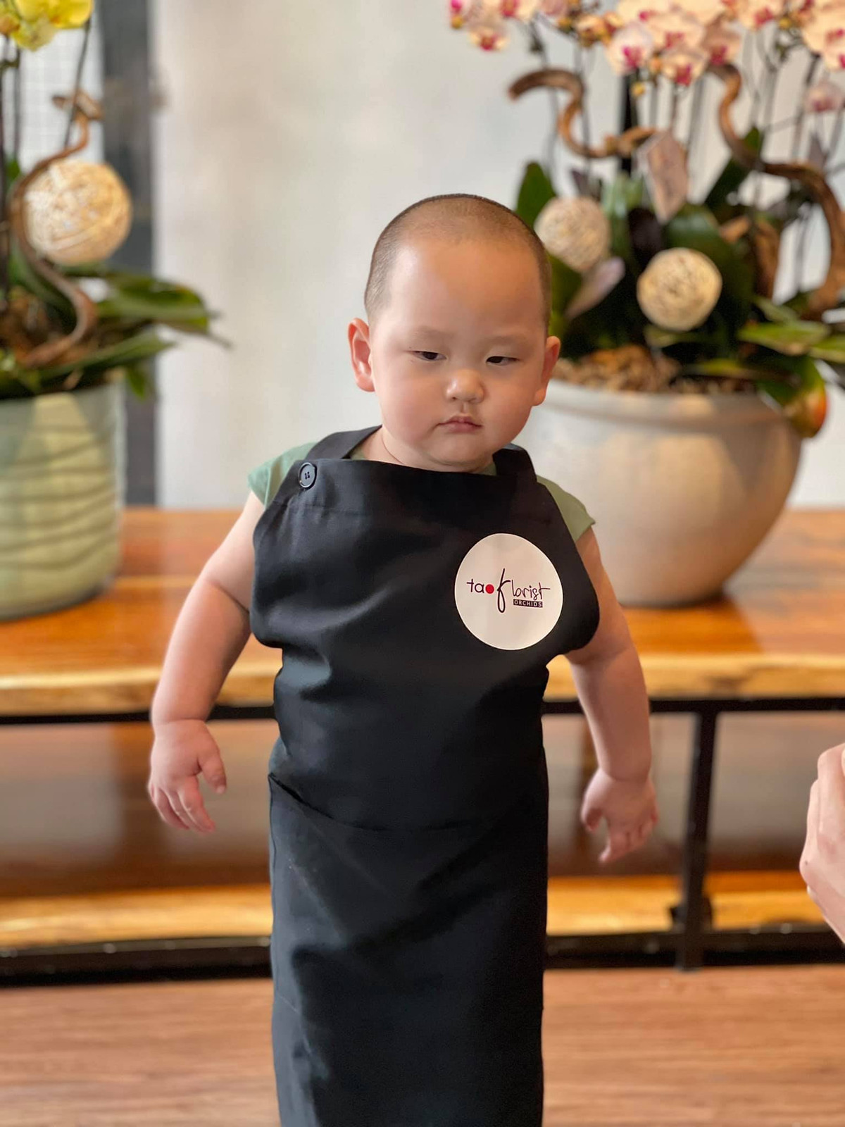 Đặc biệt hơn cả trong những bức ảnh này chính là biểu cảm như "meme" của Hayden đã mang đến những tràng cười bất tận cho những ai yêu quý cậu bé này.