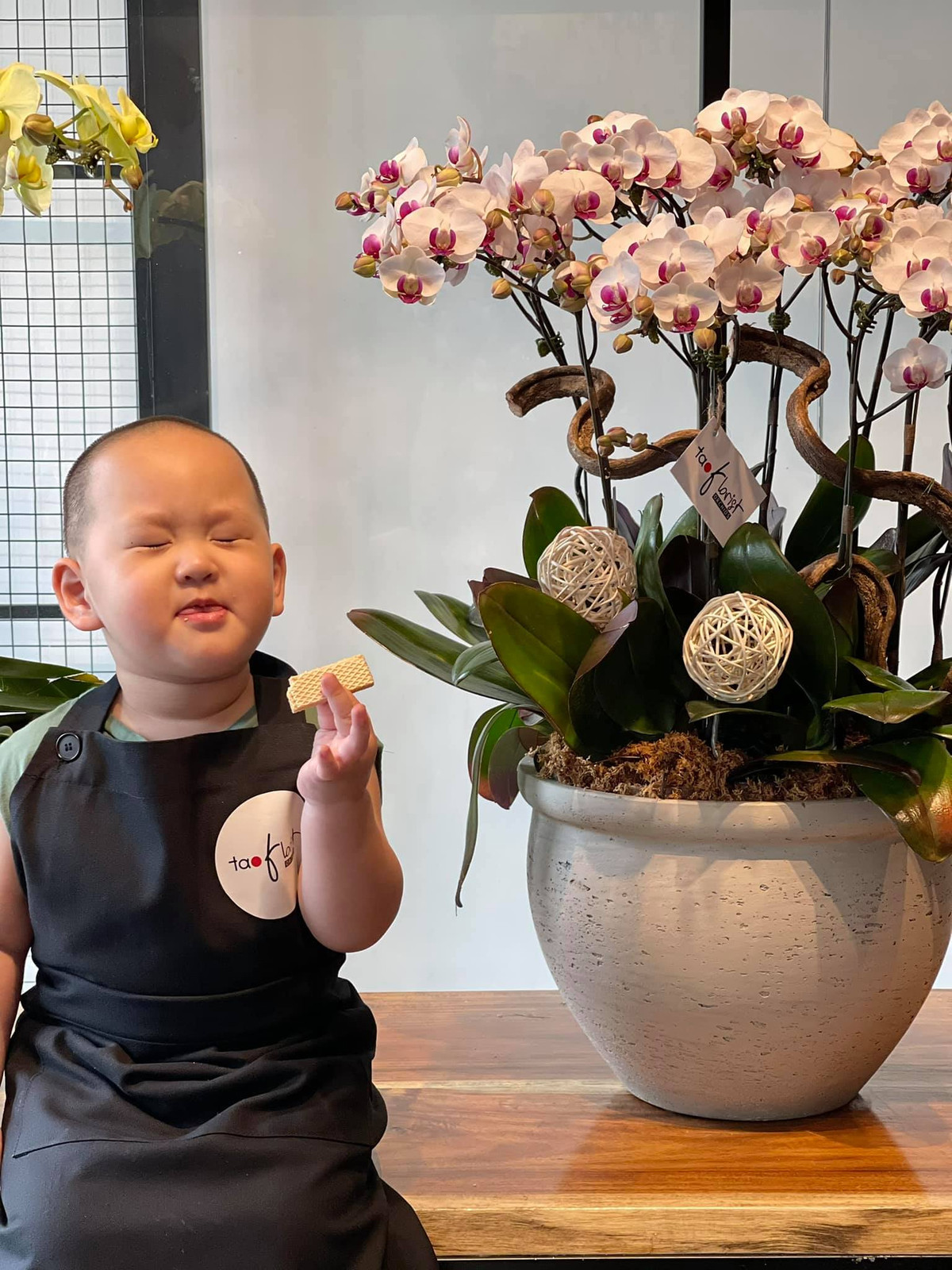 on út nhà Trà My như diễn viên hài nhí chính hiệu, từ biểu cảm bật khóc ăn vạ đến mỉm cười toe toét đều "diễn" không hề giả trân.