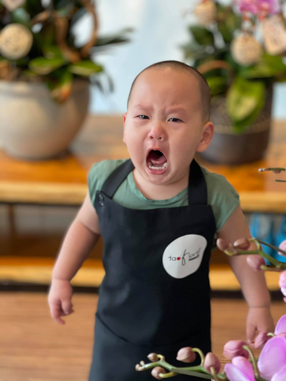 Cậu bé nhiều lần gây sốt các diễn đàn showbiz với hình ảnh cực "cute" đời thường.