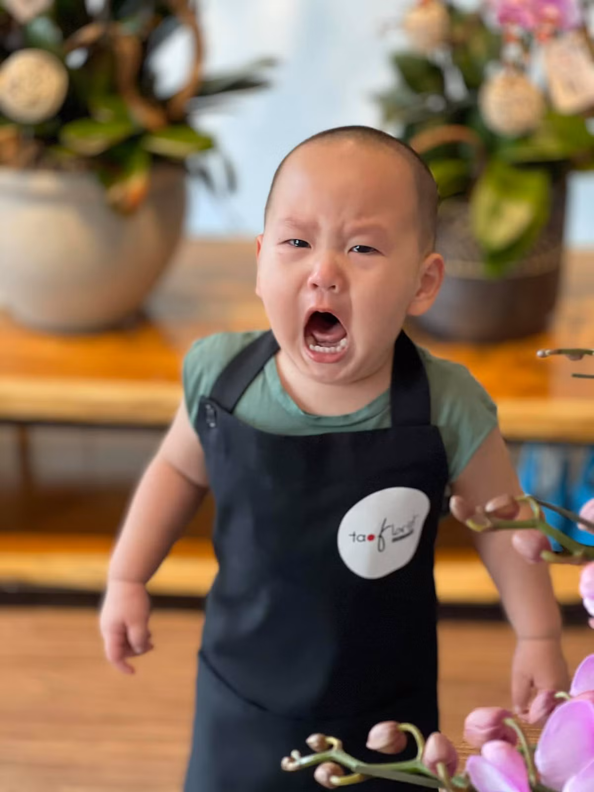 Cậu bé nhiều lần gây sốt các diễn đàn showbiz với hình ảnh cực "cute" đời thường.