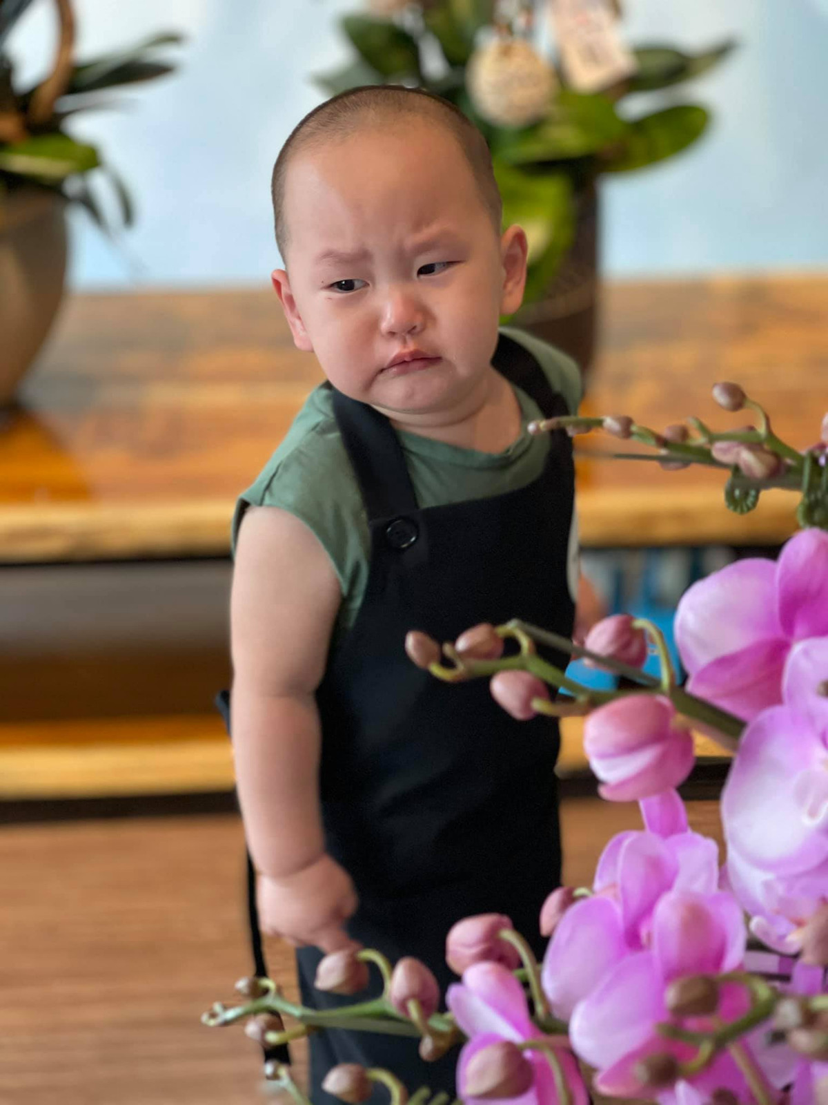 Hayden là con trai út của Trà My Idol và doanh nhân Tô Văn Đức. Cậu bé chào đời vào tháng 4/2019, tới nay sắp tròn 2 tuổi.