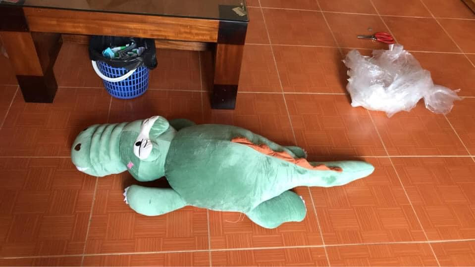 Tuy nhiên khi nhận hàng, chủ nhân bài "bóc phốt" vô cùng bất ngờ khi chú cá sấu được giới thiệu dài 1m5 lại chỉ dài khoảng 80-90 cm, trông chẳng khác gì con chim cánh cụt.