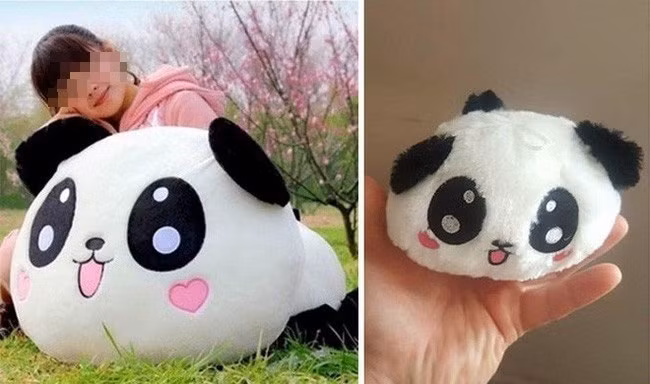 Đặt mua hàng trên mạng em gấu trúc to, mềm nhưng lại nhận về một chiếc móc khóa hình gấu trúc.