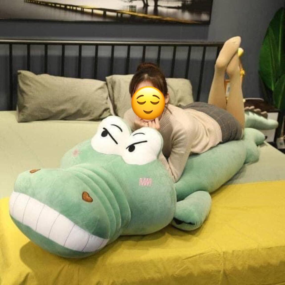 Mới đây, một cô gái đã chia sẻ về sự cố mua hàng online của mình lên MXH gây chú ý. Cụ thể, cô gái này đã hí hửng đặt mua con cá sấu nhồi bông với giá 379 ngàn sau khi đã giảm giá 250 ngàn.