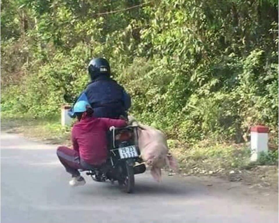 Ngắm nhìn hình ảnh này, dân mạng không khỏi “cười bò” với kiểu chở hàng có 1-0-2 của tài xế.