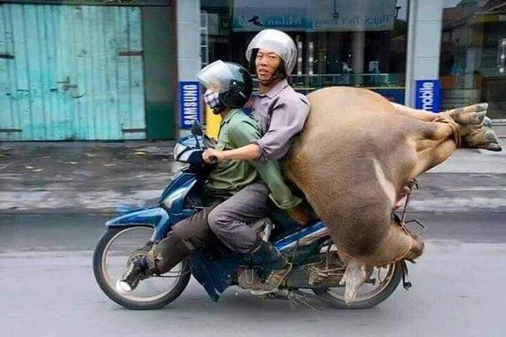 Tuy nhiên, thay vì chuyên chở những mặt hàng nhỏ gọn thì nhiều người lao động tại Việt Nam lại sử dụng xe máy để chở hàng quá khổ, nhiều khi gây ảnh hưởng đến những người đi lại xung quanh.