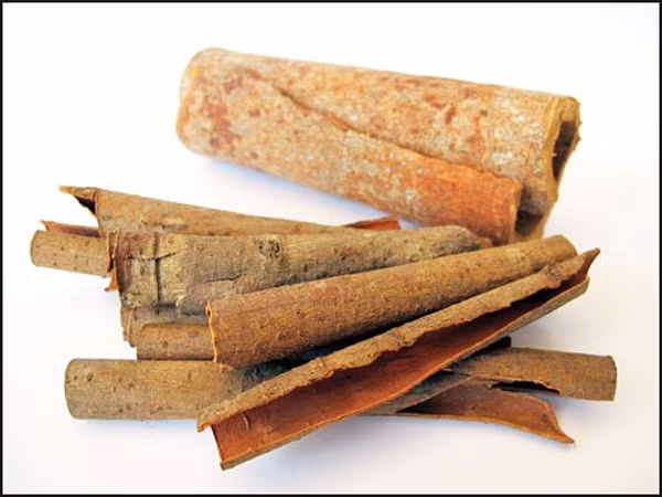 Nhiều bạn trẻ ngày nay chắc hẳn không thể nghĩ rằng quế cay lại là một món quà vặt huyền thoại không thể thiếu đối với teen thế hệ trước. Chỉ 100, 200 đồng tiền quế là đã có thể nhâm nhi được cả buổi rồi.