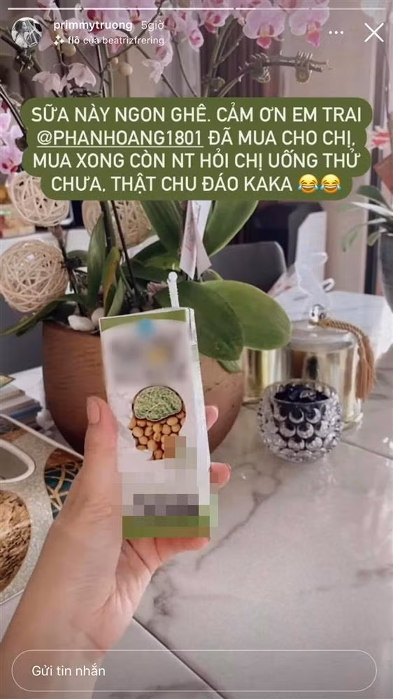 Được em chồng Phan Hoàng - thiếu gia út nhà họ Phan quan tâm, cô không ngần ngại khoe lên MXH. Không chỉ mua sữa cho chị dâu tẩm bổ, Phan Hoàng còn nhắn tin nhắc nhở uống thử xem có hợp khẩu vị không.