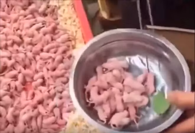 Dù biết ở Việt Nam, nhiều nơi có nền ẩm thực vô cùng lạ, thậm chí hơi kinh dị nhưng đến mức này thì thực chưa thấy bao giờ.