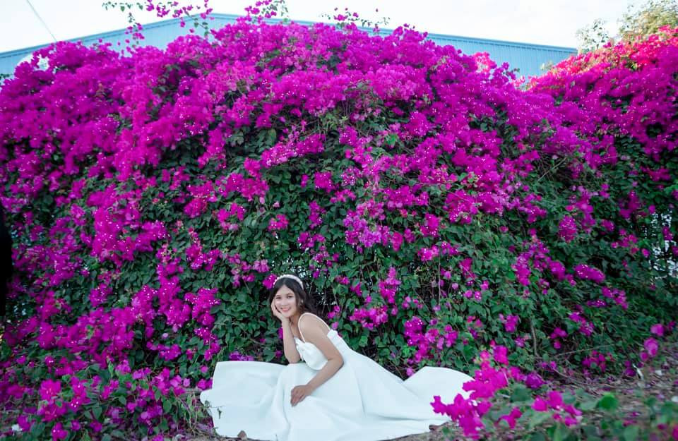 Con đường hoa giấy tuyệt đẹp này nằm tại khu công nghiệp Tân Kim, xã Tân Kim, huyện Cần Giuộc, tỉnh Long An. Nếu tính từ trung tâm Sài Gòn, nơi đây sẽ cách khoảng 18km, mất gần một tiếng đồng hồ chạy xe. Ảnh: Nguyễn Thị Cẩm Tiên