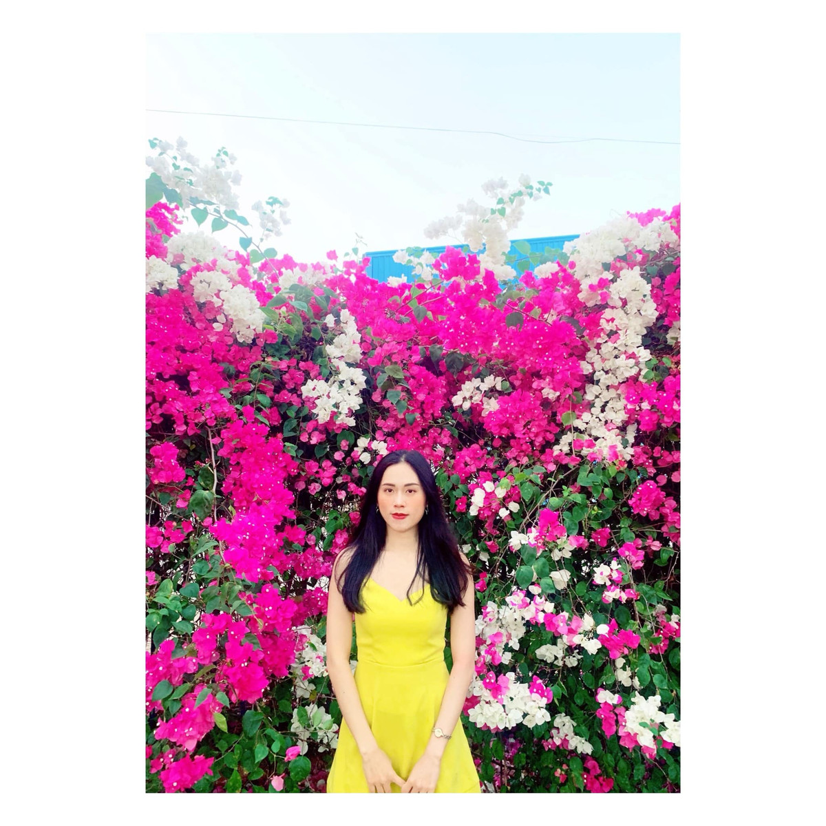 Nhiều người cũng chụp ảnh cùng giàn hoa giấy đặc biệt này. Ảnh: Phương Thanh