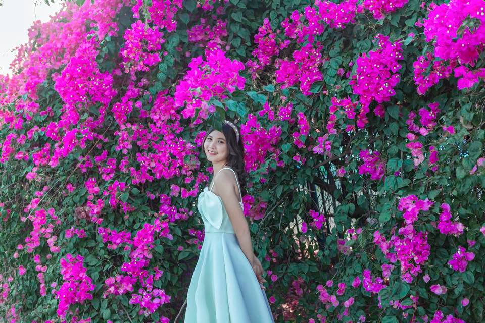 Ngoài Hội An và Vũng Tàu, các bạn trẻ có thể ghé thăm giàn hoa giấy tại Long An. Chỉ cách Sài Gòn 18km, nơi đây có vô vàn cảnh đẹp khiến du khách xao lòng. Ảnh: Nguyễn Thị Cẩm Tiên