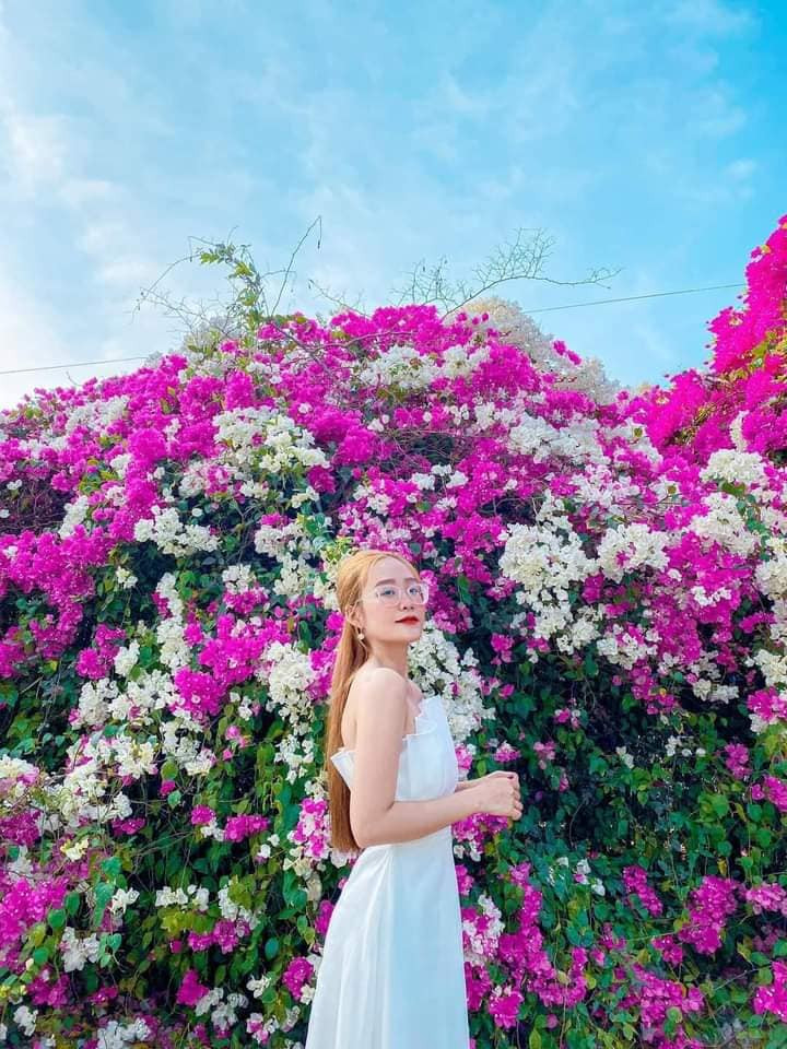 Nếu như có dịp tới Long An các bạn trẻ đừng quên check-in với giàn hoa giấy đẹp mê li này. Ảnh: Địa điểm Long An