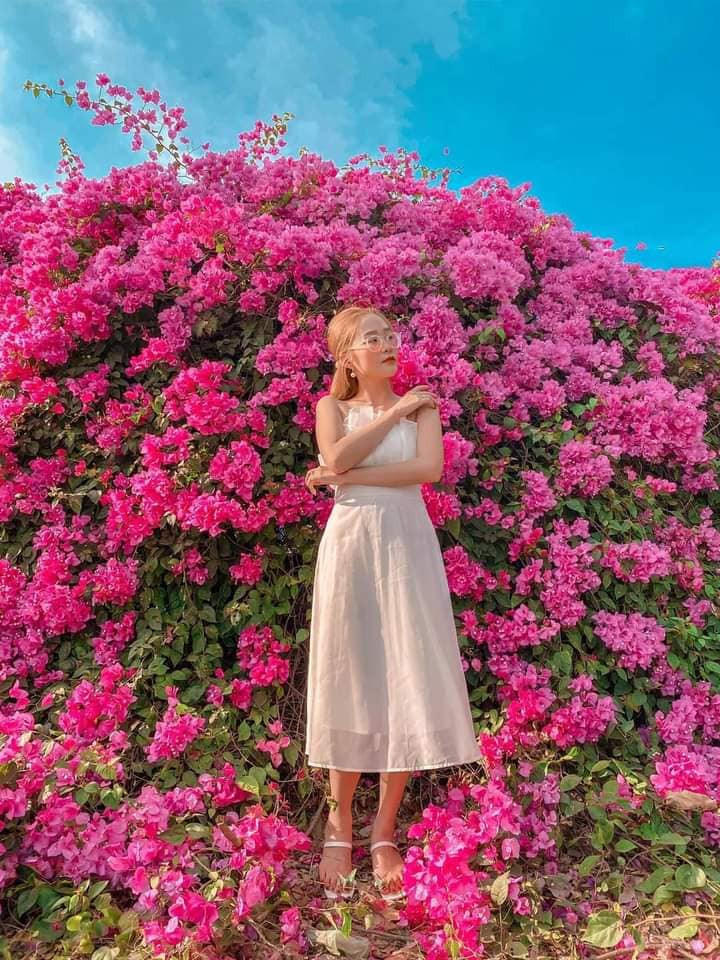 Chỉ sau ít giờ đăng tải, những bức ảnh về giàn hoa giấy Long An nhanh chóng được chia sẻ rộng rãi và nhiều người tới đây check-in. Ảnh: Địa điểm Long An