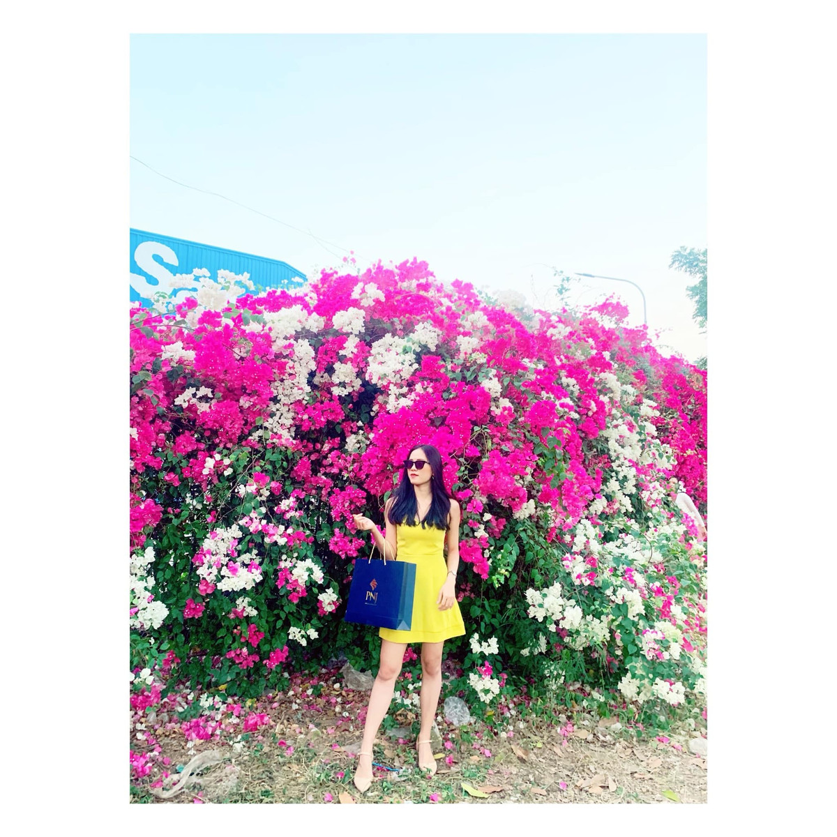 Cô gái đăng bộ ảnh check-in cùng với hoa giấy khiến dân mạng thích thú lập kèo đi Long An ngay. Ảnh: Phương Thanh