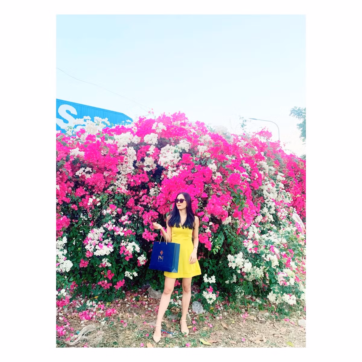 Cô gái đăng bộ ảnh check-in cùng với hoa giấy khiến dân mạng thích thú lập kèo đi Long An ngay. Ảnh: Phương Thanh