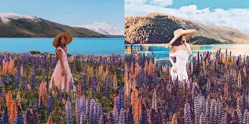 Thậm chí, tất cả những bức ảnh này đều được Mina Phạm cho vào album có tên "I love travel" như đó là ảnh của cô tự đi, tự chụp.