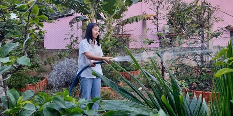 Giống như Lưu Thị Luyến, cô gái Lê Hồ Điệp năm nay 24 tuổi, hiện đang sinh sống tại huyện Long Hồ, tỉnh Vĩnh Long cũng quyết định viết đơn đăng kí tham gia nghĩa vụ quân sự sau khi đã tốt nghiệp Đại học. Biết câu chuyện trên, nhiều dân mạng đã bày tỏ sự ngưỡng mộ, gửi lời chúc mừng tới cô nàng.