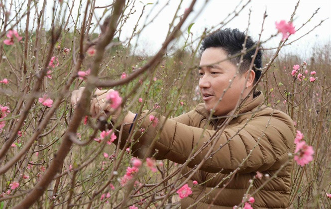 Nếu thời tiết thuận lợi, người trồng đào nơi đây có mùa bội thu. Ảnh: Nongnghiep.