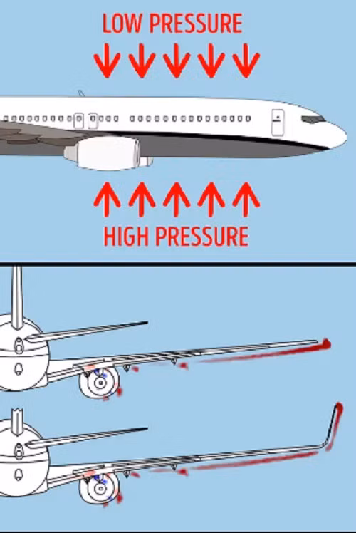 Trong quá khứ, người ta từng chế tạo những chiếc máy bay có cánh thẳng. Tuy nhiên, điều này khiến cho việc nhiễu loạn không khí xảy ra nghiêm trọng. Do đó, sau này cánh báy bay thiết kế hướng cong lên để tránh nhiễu loạn không khí, tăng bộ bền cho cánh, tiết kiệm nhiên liệu.