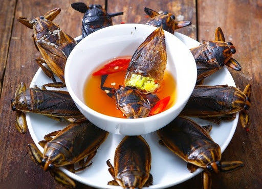 Cô Bình (Hà Đông, Hà Nội) cho biết vừa đặt mua trên mạng 5 con cà cuống với giá 50.000 đồng/con về ngâm mắm. Ảnh: Internet.