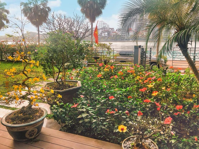 Ngôi nhà của cô nàng "rich kid" Giang Lê tràn ngập các loại hoa như đào, mai, quất, lan...trong ngày Tết. Ảnh: @claretgiangle.