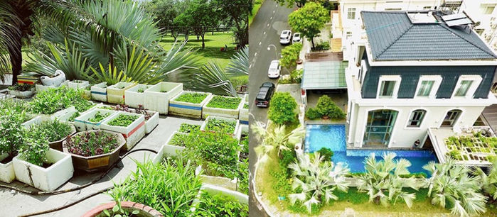 Ngôi nhà thiết kế hiện đại và có khoảng sân vườn, hồ bơi vô cùng thoáng mát chẳng khác gì tòa lâu đài trong mơ. Ảnh: FB Bảo Thy.