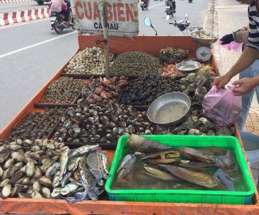 Còn tại TP HCM, trên một số tuyến phố xuất hiện nhiều xe bán ghẹ xanh giá siêu rẻ được người bán giới thiệu là ghẹ Vũng Tàu, Phan Thiết. Ảnh: Người đưa tin.