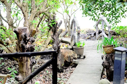 Khuôn viên biệt thự của Việt Trinh khá rộng lớn.