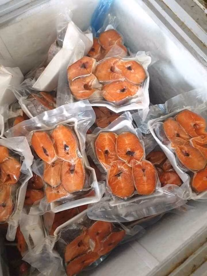  Cá hồi Sa Pa có thể còn nguyên con hoặc đã được hỗ trợ làm sạch, đóng túi hút chân không.