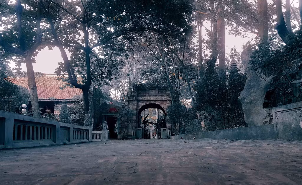 Được xây dựng bề thế như một biệt phủ, Việt Phủ Thành Chương đã tái hiện được không gian đậm chất Việt, từ nhà sàn, nhà Tường Vân, tranh, vách đất, đến hồ sen, hồ sung, cây đa, cây cổ thụ. Ảnh: Zing.