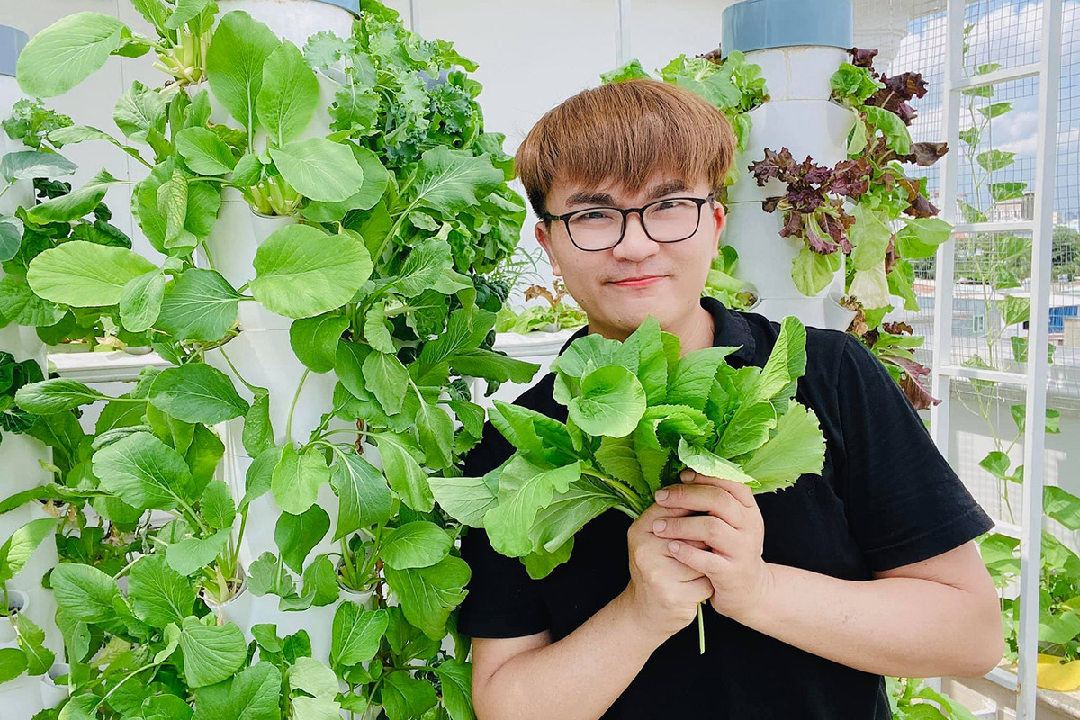 Trước khi tậu căn biệt thự này, nam MC "giàu nhất Việt Nam" sống trong căn biệt thự rộng rãi, có cả một vườn rau thuỷ canh lớn ở sân thượng. Nguồn ảnh: FBNV. Video: Kiến trúc hiện đại cho ngôi nhà liền kề. Nguồn: VTC1