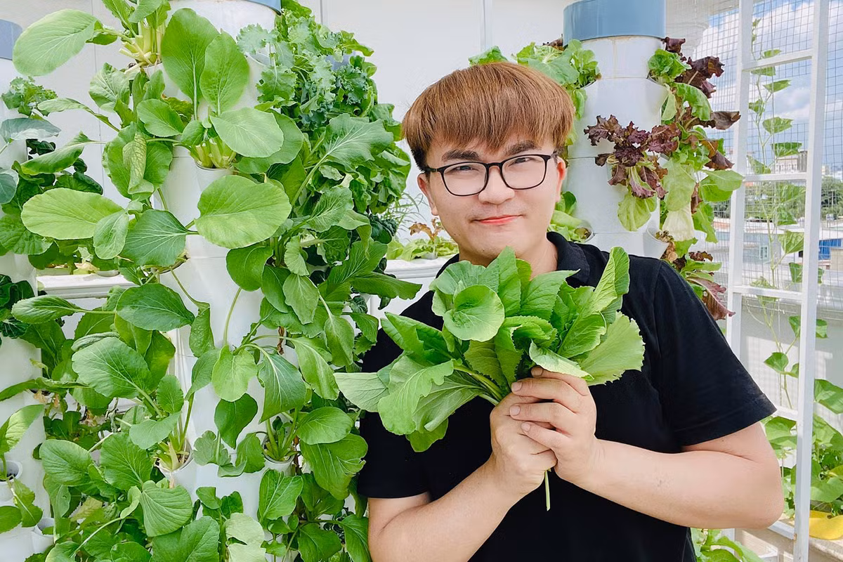 Trước khi tậu căn biệt thự này, nam MC "giàu nhất Việt Nam" sống trong căn biệt thự rộng rãi, có cả một vườn rau thuỷ canh lớn ở sân thượng. Nguồn ảnh: FBNV. Video: Kiến trúc hiện đại cho ngôi nhà liền kề. Nguồn: VTC1