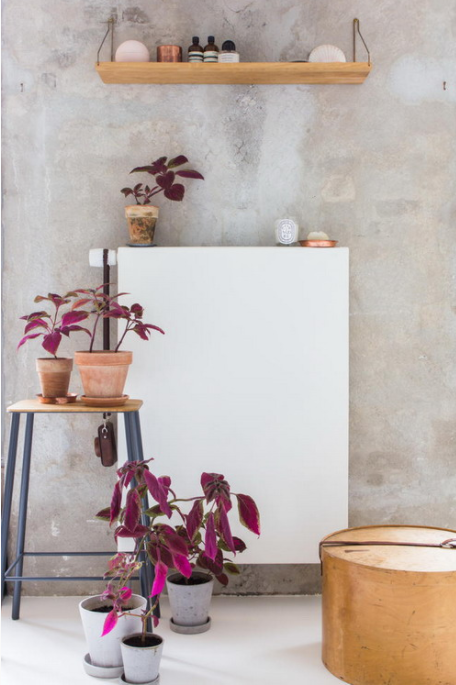 Hầu hết nội thất trong nhà đều bằng gỗ mang lại cảm giác ấm cúng.