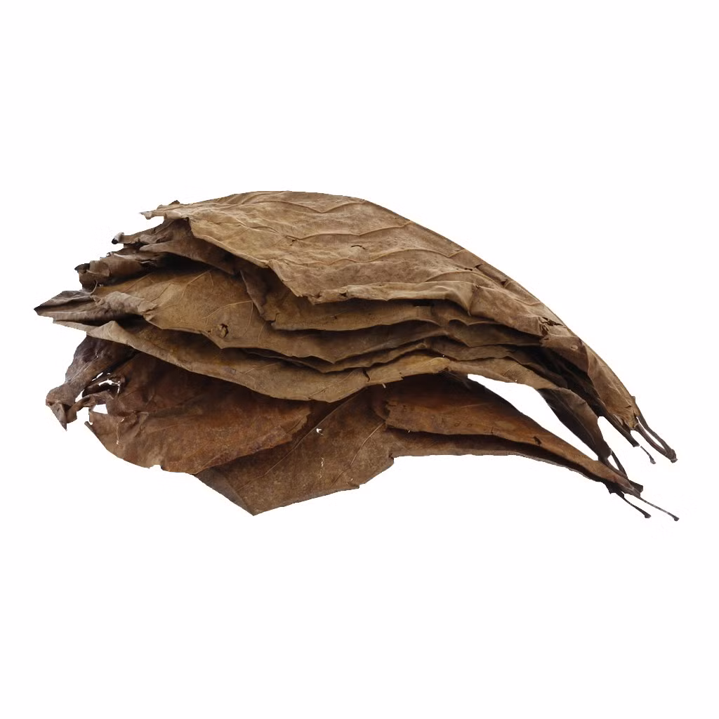 Lúc đầu, lá bàng khô không có trong danh mục sản phẩm tại cửa hàng cô Thanh. Sau này, khi thấy nhiều khách hỏi mua nên cô nhờ người nhà hoặc thuê người đi nhặt lá bàng về bán. Nguồn ảnh: chụp màn hình, Internet