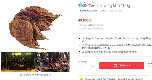 Những người bán cho biết, vài năm gần đây, nhiều người nuôi cá cảnh dùng lá bàng khô để giúp diệt ký sinh trùng và một số loại vi khuẩn gây bệnh cho động vật thủy sản.