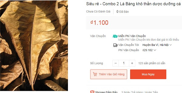 Theo đó, lá bàng khô được bán với nhiều mức giá khác nhau. Có nơi bán 20.000 đồng/100g, nơi bán 1.100 đồng/2 lá, thậm chí có nơi bán tới 49.000 đồng/100g....