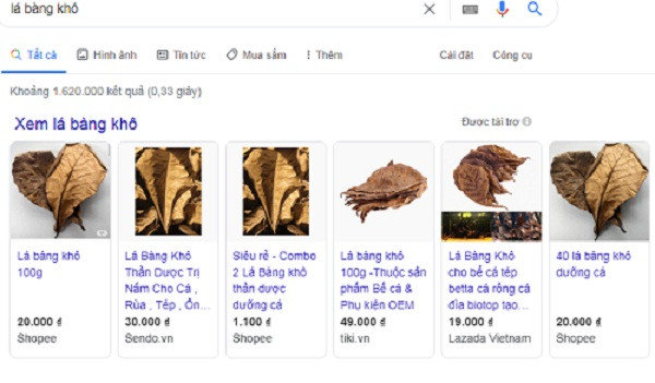 Tưởng là đồ bỏ đi nhưng lá bàng khô lại bất ngờ được rao bán rầm rộ trên các trang thương mại điện tử.