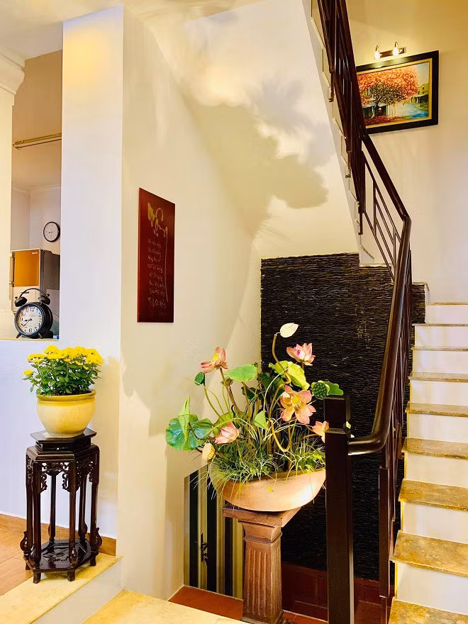 Trong nhà Thúy Nga, góc nào cũng có cây cối um tùm.