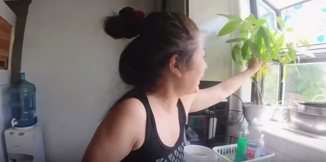 Trong nhà Thúy Nga có nhiều loại cây hoa nhỏ đều do tự tay chị mua sắm.