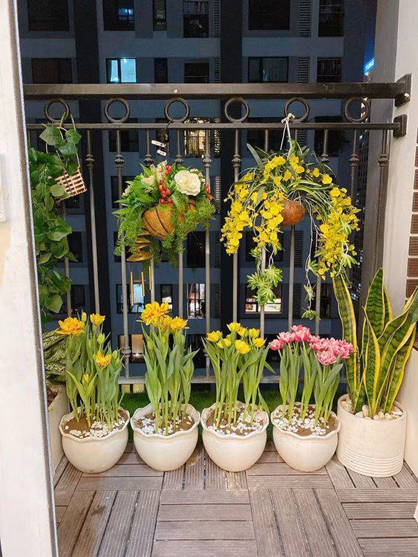 Ly Kute lam me don than mua nha gan chuc ty dep long lanh khong goc chet-Hinh-4