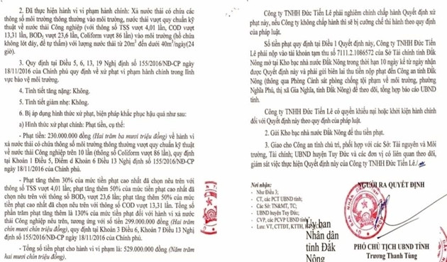 Cong ty Duc Tien Le bi xu phat 529 trieu dong vi xa thai ra moi truong