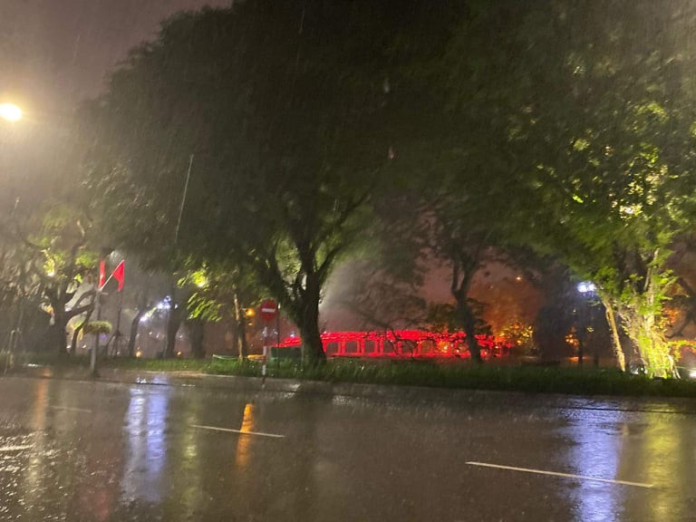 Xung quanh Hồ Gươm cũng vắng hoa, chỉ có ánh điện và những hạt mưa.