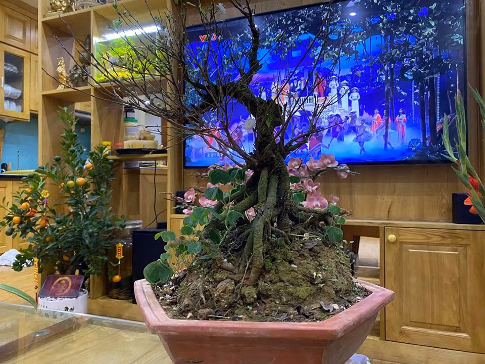 Vốn là người kín tiếng nên nghệ sĩ Công Lý chỉ hé lộ một số không gian bên trong căn nhà.