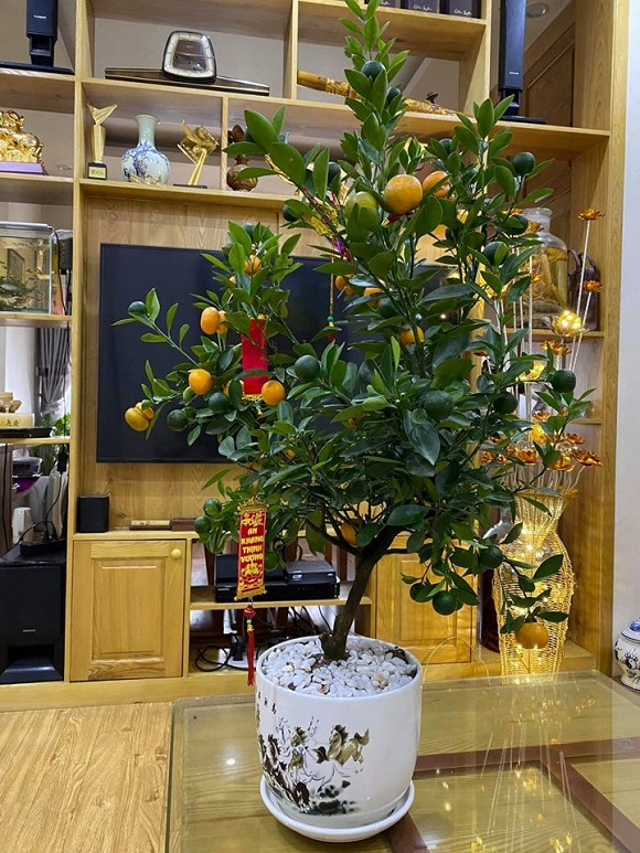 Dịp Tết Nguyên đán, căn nhà của Công Lý được trang trí nhiều hoa và cây cảnh.