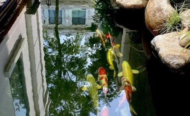 Người đẹp còn thường xuyên khoe những bức ảnh chụp trong biệt thự khiến nhiều người mê mẩn.